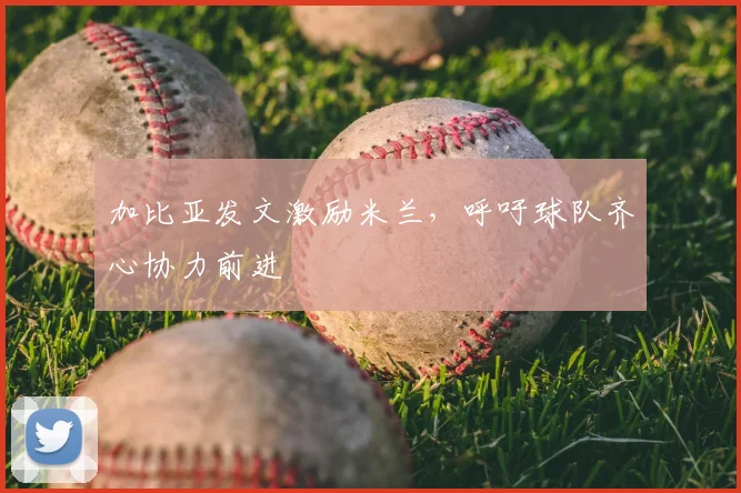 加比亚发文激励米兰，呼吁球队齐心协力前进